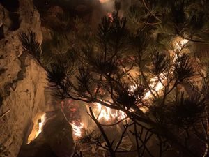 KANADER ULETIO U JATO GALEBOVA Veliki požari na Zrću i kod Crikvenice, gori i Biokovo!