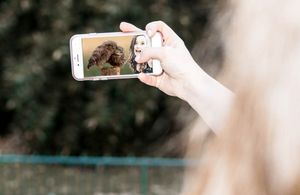 Udruga Biom upozorava: "Divlje ptice nisu za fotografiranje s turistima, prijavite kršenje zakona!"