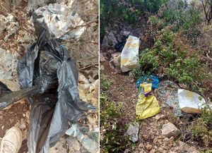 STRAHOTA U DUBROVNIKU Pronađene lešine pasa stare više mjeseci