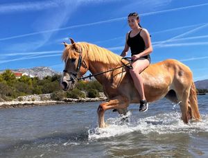 HIPOTERAPIJA NA KORČULI Jahanje konja u moru