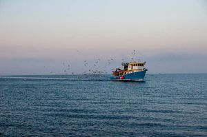 Na snazi je privremena obustava ribolova za koće kroz rujan-listopad