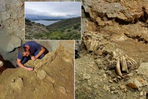 Zadarski arheolozi pronašli konjsku glavu staru 17 tisuća godina!