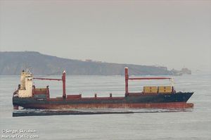 MSC-ov kontejneraš dobrano oštećen u sudaru s teglenicom