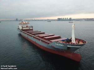 Brod sa žitom iz Ukrajine dotegljen na sidrište u Istanbulu, promet ponovno otvoren