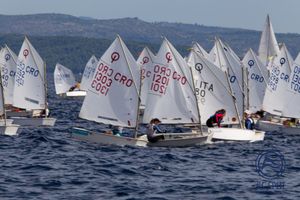 Borba za prvaka u jedrenju, klase Optimist