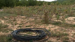 Splitsko-dalmatinska županija subvencionira sustave navodnjavanja