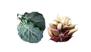 Sutra u Poreču: Radionica za sve ljubitelje starih sorti povrća