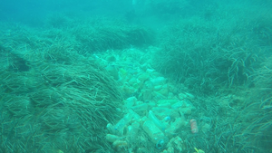 Ekološka akcija čišćenja podmorja Lastova