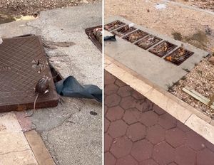 Odvratne scene iz Makarske - Štakori i fekalije po plaži