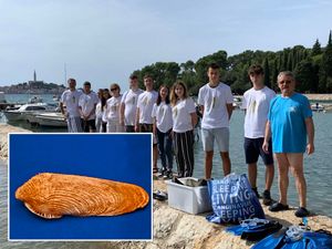 Rovinjski učenici rade na projektu očuvanja lokalnog staništa ugrožene vrste kamotočca