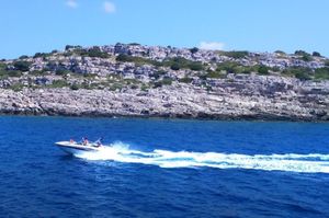 Poljak i dva Čeha uhvaćeni u nedozvoljenom glisiranju kod Telašćice