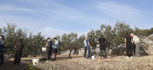 FOTO Projekt Europskih Snaga Solidarnosti u Sumartinu - "O-Live IT!"