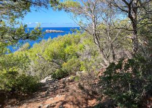 Posljednje pripreme za Mljet trail