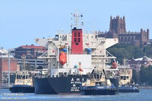 Tragedija na bulk carrieru -Najmanje 12 članova posade preminulo od trovanja hranom