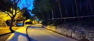 Šumica na pulskom šetalištu  Lungomare ograđena trakama