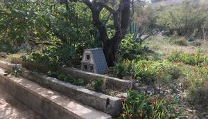 FOTO Makarska postavlja 5 kućica za slobodnoživuće gradske mačke