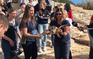 U more vraćene dvije oporavljene glavate želve!