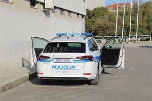 U Istri ukraden auto s mesom divljači