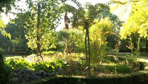 Propada botanički vrt u Kaštel Lukšiću - Jedini zaštićeni školski botanički vrt u Europi