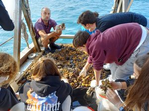 Upoznavanje srednjoškolaca s morskim ekosustavom rovinjske obale
