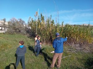 Održana radionica  prstenovanja ptica u Vlašićima na otoku Pagu