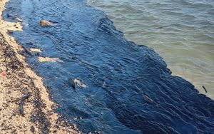 Zbog crnih mrlja ugrožen morski eko sustav kod Ližnjana, nije valjda krivo more?