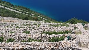 Pola stoljeća zaštite Bakarskih prezida