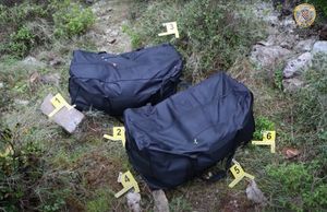 Dubrovačka policija zatekla dva Crnogorca u šumi s preko 40 kg marihuane