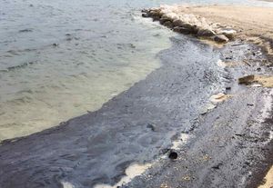 Civilna zaštita: "Čišćenje ližnjanske obale trajat će dugo"