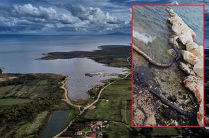Nakon izlijevanja mazuta kod Ližnjana znanstvenici objasnili što nafta u moru čini živom svijetu Jadrana