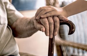 I Rovinj se uključio u projekt "Zaštitimo naše noniće"