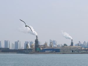 Zbog onečišćenja zraka u 2020. godini prerano umrlo 238.000 Europljana