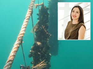 Zamjenica šibenskog župana: "Vratili smo koncesije u marikulturi mahom malim obrtnicima!"