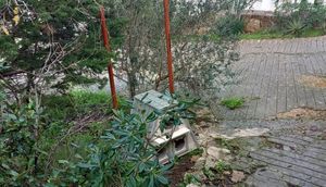 U Makarskoj postavljeno još 6 novih kućica za mačke