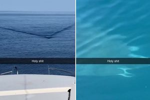 NIMALO UGODAN VIDEO Ako vidite ovakav trag na površini, neće vam biti svejedno!