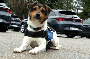 Snoopy, najpoznatija njuška policije - Ravnopravni kolega policijskih službenika