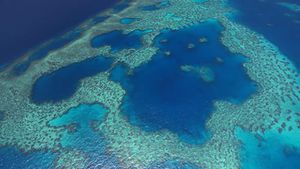 Domorodačke australske rendžerke dobile nagradu 'Earthshot' za svoj doprinos u zaštiti Velikog koraljnog grebena