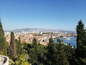 Split planira sadnju 842 nova stabla