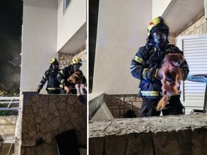 Makarski vatrogasci iz kuće u plamenu izvukli dvije osobe i tri psa!