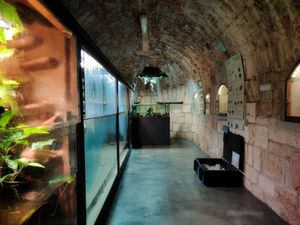 Aquarium Pula razdvaja 'Mediteranski' i 'Egzotični' postav, širi se te najavljuje velike i zanimljive izložbe