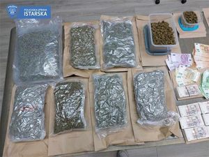 Kod Puležana pronađeno više od šest kilograma različitih droga