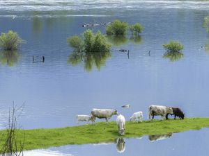 Meteorolozi izdali narančasti meteoalarm: Moguće su bujične poplave