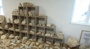 Svjetska arheološka senzacija iz Dicma - Jedina ovakva  u europskim provincijama rimskog carstva