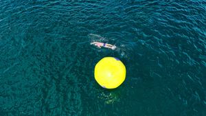 Studija dokazala korelaciju plućnog i miokardijalnog edema s dužim plivanjem na nižim temperaturama mora
