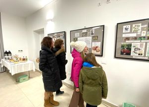 U Veprincu otvorena izložba 'Sivi leprinački puh'