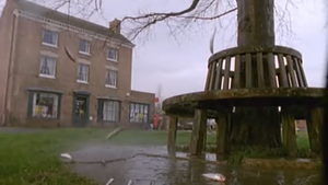 VIDEO Australski grad s neba zasule - žive ribe!