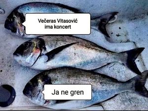 Vitasović se šali na svoj račun: "Večeras je koncert... Ja ne gren"