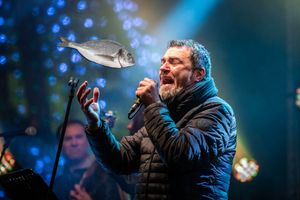 Alenu Vitasoviću je netko na koncertu bacio ribu u glavu, krenuo je u potragu da sazna razlog