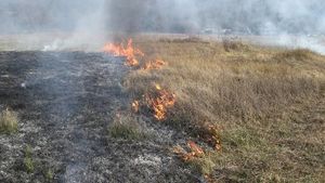 Spaljivao biljni otpad na Murteru pa izazvao požar koji je gasio i kanader