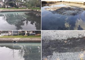 FOTO/VIDEO Usred Zadra otvoreni bazen postao septička jama: "Fekalije i otpatci, a građani obolijevaju!"